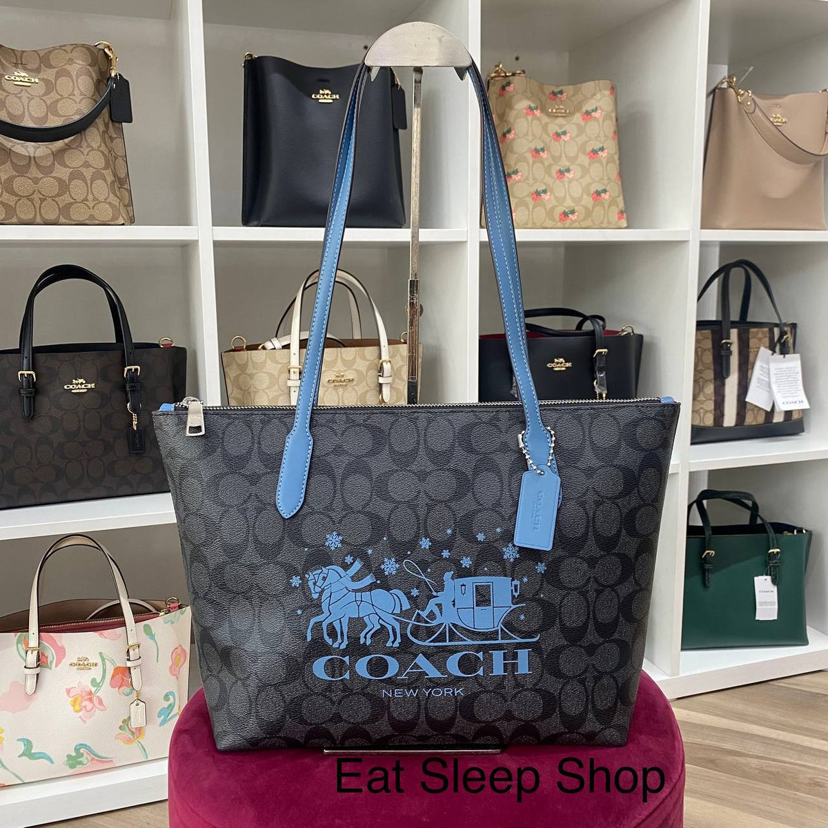 Tote best sale with coach