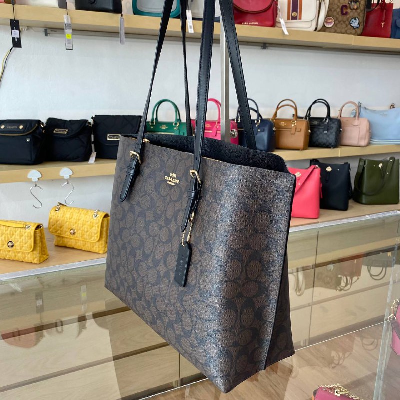 Coach mollie tote signature Clearance