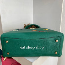 Load image into Gallery viewer, COACH MINI LILLIE CARRYALL WITH DIARY EMBROIDERY C8364 IN IM/GREEN MULTI
