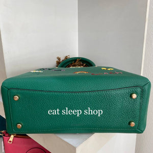 COACH MINI LILLIE CARRYALL WITH DIARY EMBROIDERY C8364 IN IM/GREEN MULTI