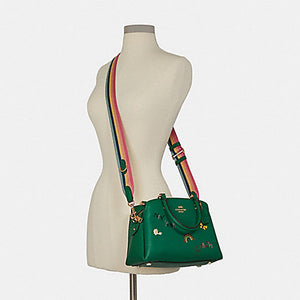 COACH MINI LILLIE CARRYALL WITH DIARY EMBROIDERY C8364 IN IM/GREEN MULTI